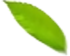 香蕉爱视频免费滲濾液處理